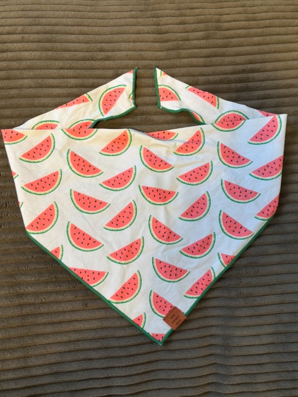 The Foggy Dog bandana watermelon